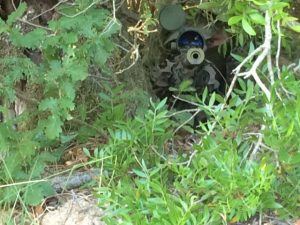 Sniper`s Mission Challenge